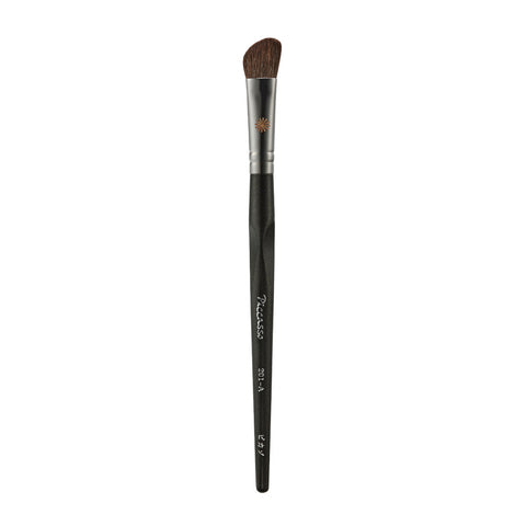 Picasso 201A Nose Shading