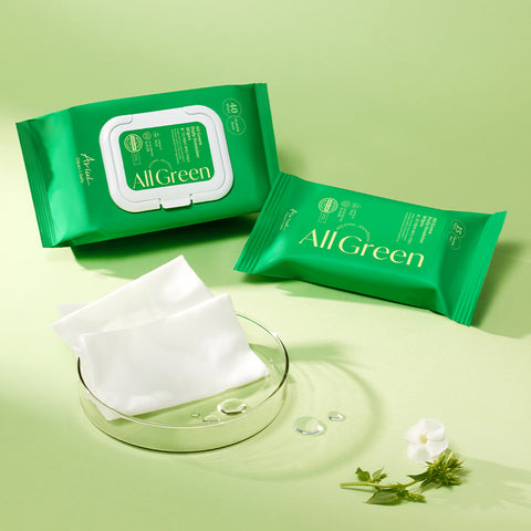 Ariul All Green Feminine Wipes 40 Sheets (Cap Type)