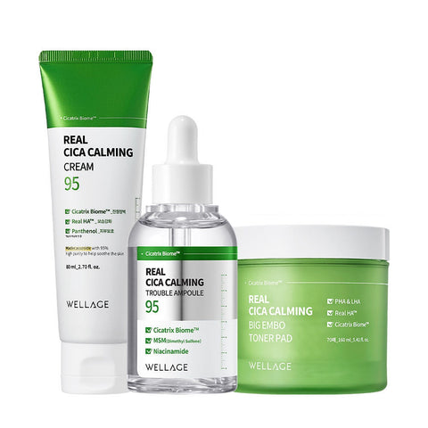 Wellage Real Cica Calming 95 Trouble Ampoule 50ml + Big Embo Toner Pad 160ml (70 pads) + Cream 50ml ? 3-Piece Set