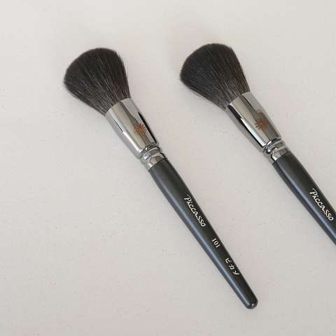 Picasso 101 Powder (1 ea)