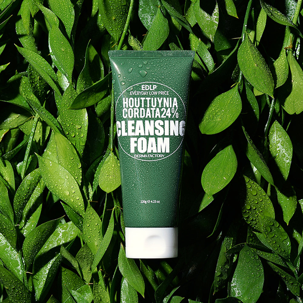 Derma Factory EDLP Houttuynia 24% Cleansing Foam 120g