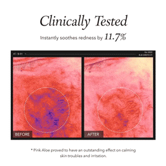 APRILSKIN Pink Aloe Pack Cleanser 120g