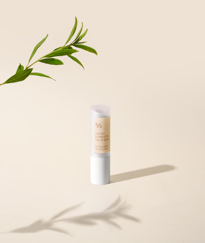 Dr.Ceuracle Vegan Kombucha Tea Lip Balm 3.7g