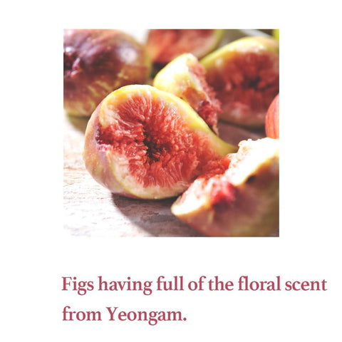 Soonsu Beauty Fig Scrub Mask side view