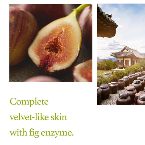 Soonsu Beauty Fig Scrub Mask packaging design