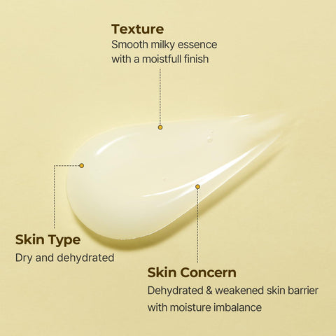 Soonsu Beauty SOLID IN Ceramide Essence front view