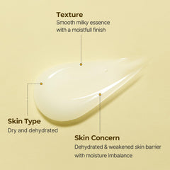 SOLID IN Ceramide Essence 100ml
