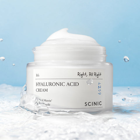 Scinic Hyaluronic Low-Molecular Moisture Cream 80ml - 2 Pack