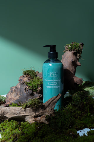 HairPlus Offresh Deep Herbal Scalp Hair Pack 500ml + Hair Loss Shampoo 50ml (3 Pack)