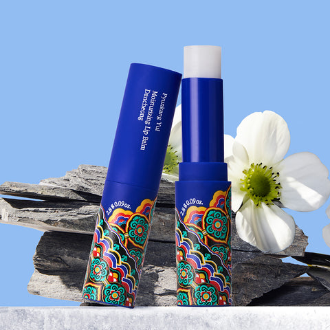 Pyunkang Yul Lip Care Moisturizing Lip Balm (Dancheong) 2.8g