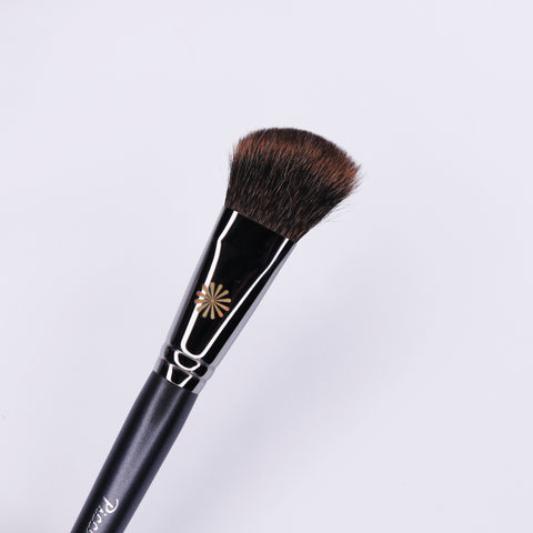 Picasso 721 Shading