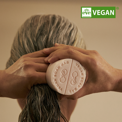 Donggubat Vegan Camellia Hair Care Set (Shampoo Bar + Treatment Bar)