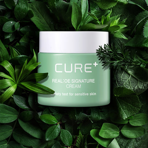 Kim Jeong Moon Aloe Cure Real Aloe Signature Cream 55ml (2 Pack)