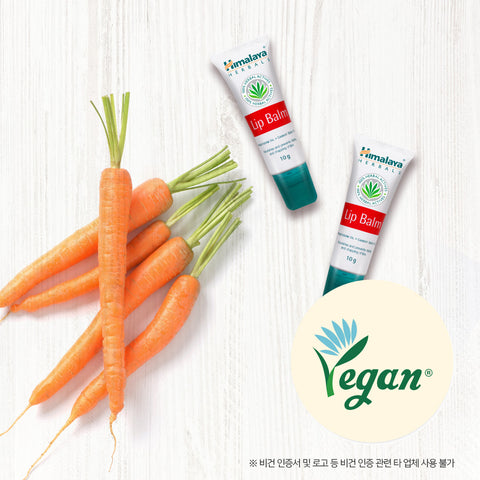 Himalaya High-Moisture Lip Balm 10 g (5 Pack) (Original Vegan x2 + Cocoa + Strawberry + Honey)