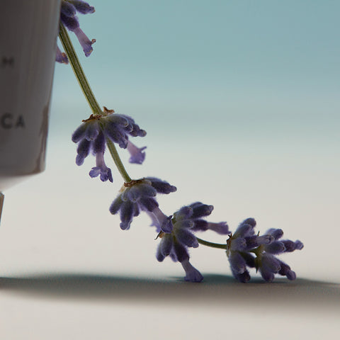 Aromatica Surren Hand Cream Lavender & Marjoram 30ml