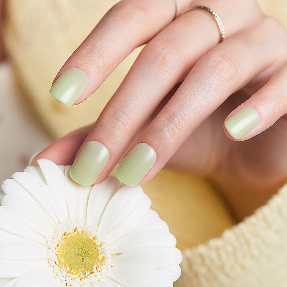 Dashing Diva Magic Press Joy Green (Regular Round) Nail Tips