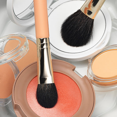 The Tool Lab Vital Radiance Blusher Duo and Longwear Blur Powder Brush Set