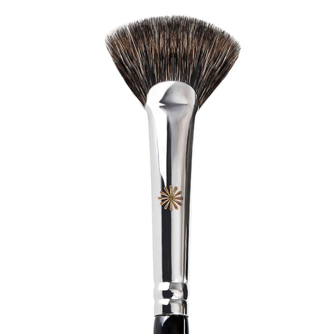 Picasso 259 Fan Highlighter