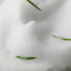 AHA BHA PHA 30 days Miracle Acne Clear Foam 100ml | Soonsu Beauty