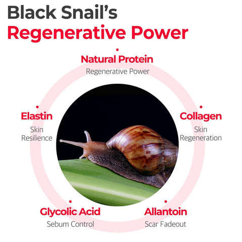 Soonsu Beauty Snail Truecica Miracle Repair Serum application use