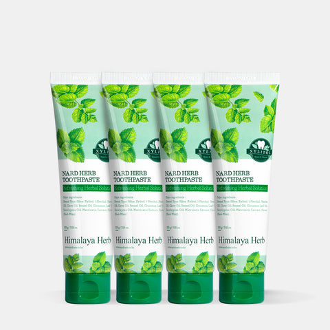 Nard Bad Breath Care Toothpaste 200g (4 Pack)
