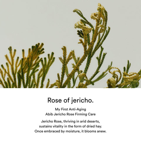 Soonsu Beauty Jericho Rose PHA Toner Skin Booster side view