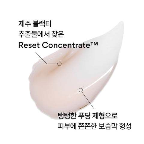 Innisfree Black Tea Youth Enhancing Cream 50ml