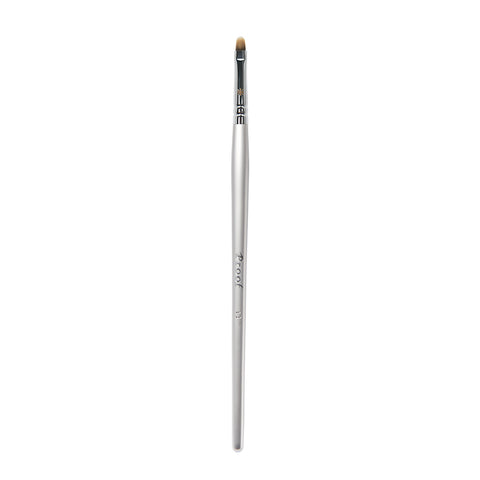 Picasso PROOF SILVER13 Concealer 1ea