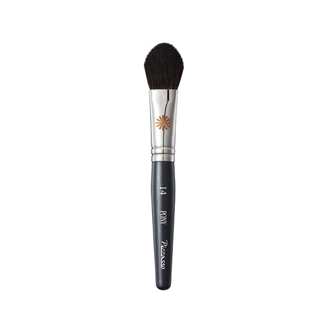 Picasso PONY14 MINI Blusher