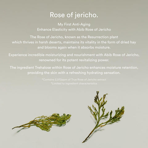 Soonsu Beauty Jericho Rose Bifida Serum Firming Drop application use