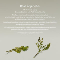 Soonsu Beauty Jericho Rose Bifida Serum Firming Drop application use