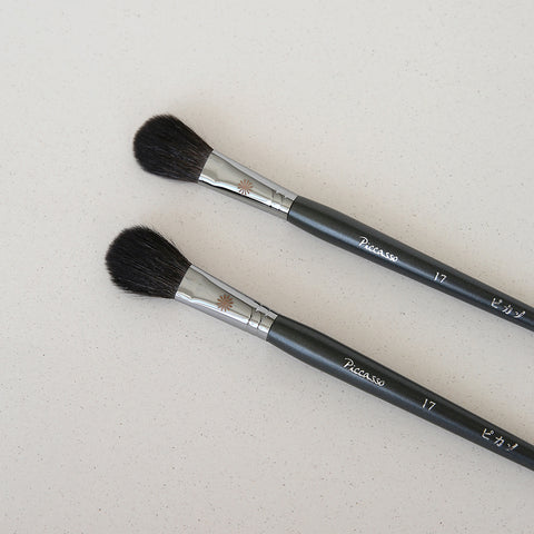 Picasso 17 Blusher Brush