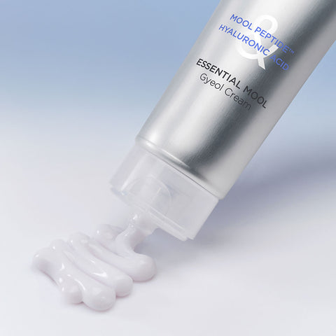 JUNG SAEM MOOL Essential Water Cream 60ml