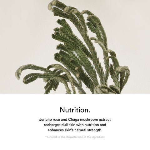Soonsu Beauty Jericho Rose Creme Nutrition Tube packaging design
