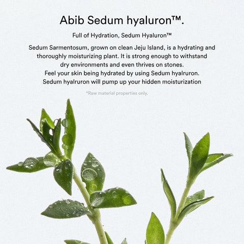 Soonsu Beauty Sedum Hyaluron Creme Hydrating Pot texture close-up
