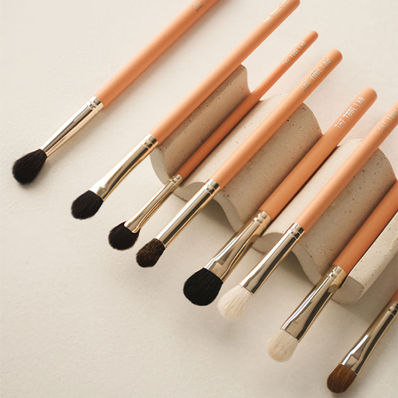 The Tool Lab 201 Eye Brush
