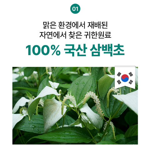 DongKook MyFit SamBaekcho Extract Phyto Tablets 600mg x 60 Pack of 8