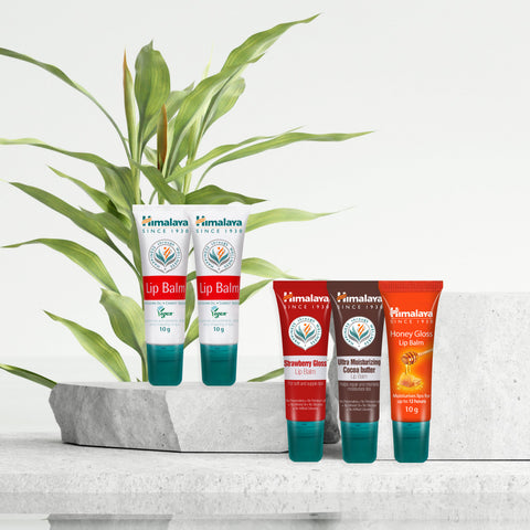 Himalaya High-Moisture Lip Balm 10 g (5 Pack) (Original Vegan x2 + Cocoa + Strawberry + Honey)