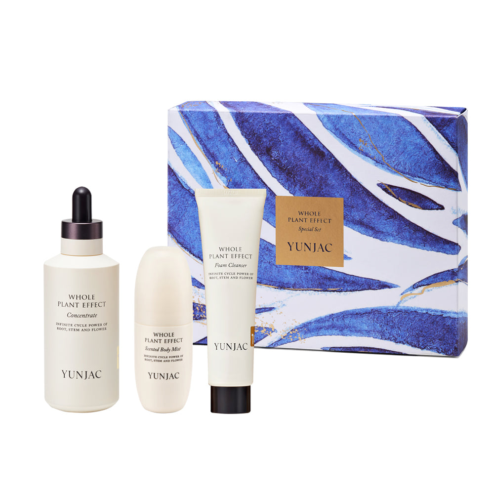 YUNJAC Jeoncho Special 3-Piece Set
