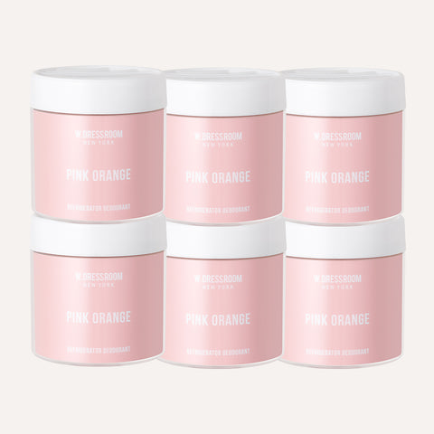 W.Dressroom Refrigerator Deodorizer 120g (6 Pack)