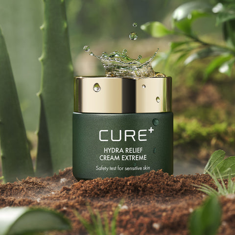Kim Jeong Moon Aloe Cream 2-Piece Set