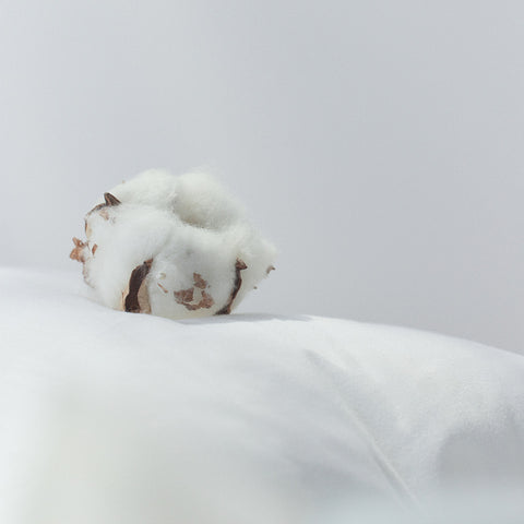 Afterblow Perfume Hand Cream 06 Cotton Fog 50ml