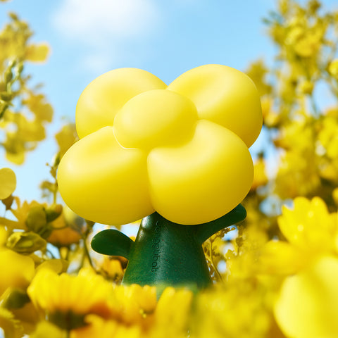 Donggubat Perfume Bar - Canola Gift Set
