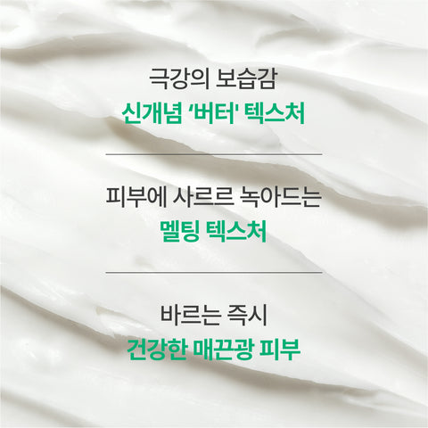 Innisfree Green Tea 2-Piece Set (Ceramide Cream 80ml + Green Tea Seed Hyaluronic Acid Cream 80ml Tube)