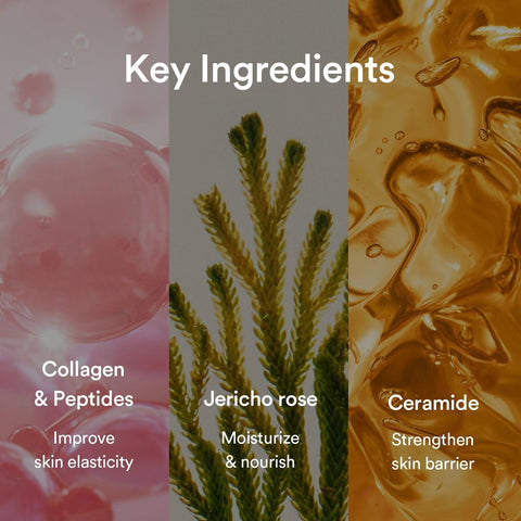 Soonsu Beauty Collagen Gel Mask Jericho Rose Jelly texture close-up