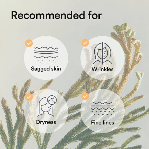 Soonsu Beauty Collagen Gel Mask Jericho Rose Jelly application use