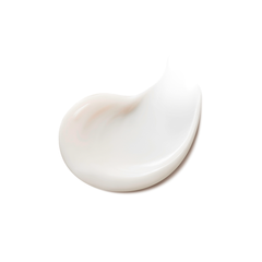 White ceramic plate on a white background
