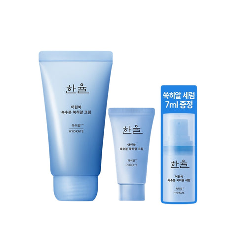 Hanyul Pure Artemisia Ssuk-Hyal Cream 60ml Set