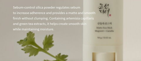 Beauty of Joseon Matte Sun Stick Mugwort + Camelia 18g