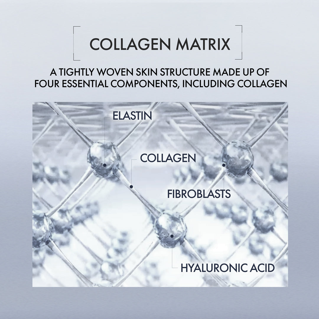 Diagram of a collagen matrix with labeled components on a light gray background
